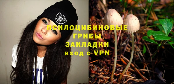 a pvp Белокуриха