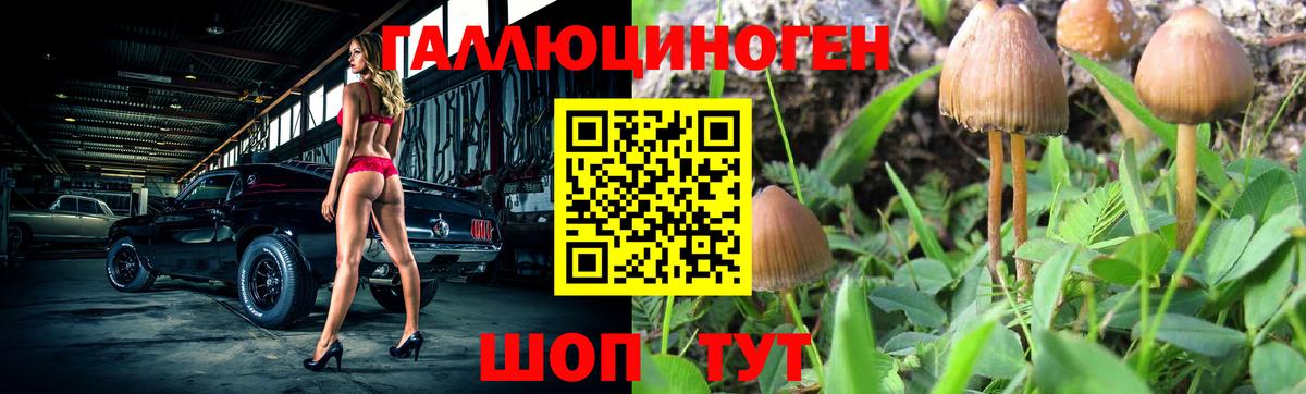 Псилоцибиновые грибы мицелий Видное