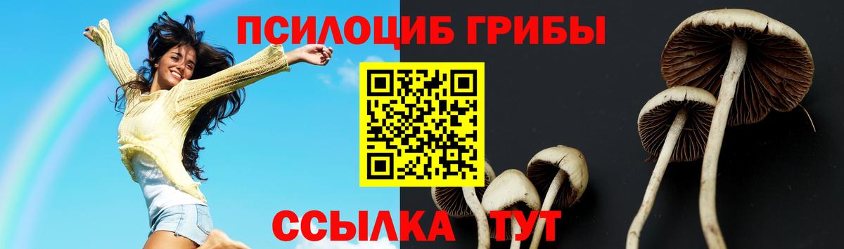 Видное  Галлюциногенные грибы ЛСД  Галлюциногенные грибы мухоморы  Вход с VPN 